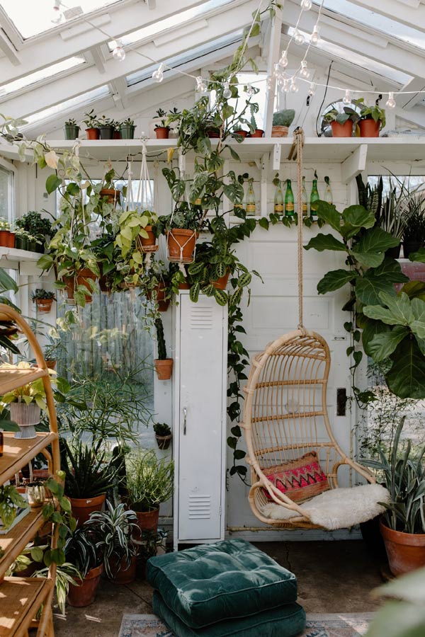 Indoor hanging plants