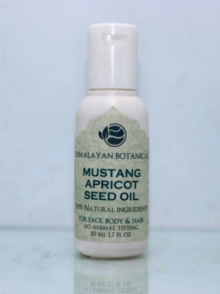 Pure Himalayan Mustang Apricot Seed Oil